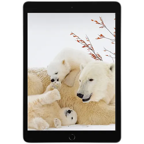 تبلت اپل مدل iPad 10.2 2021 Wifi ظرفیت 64 گیگابایت رم 3 گیگابایت