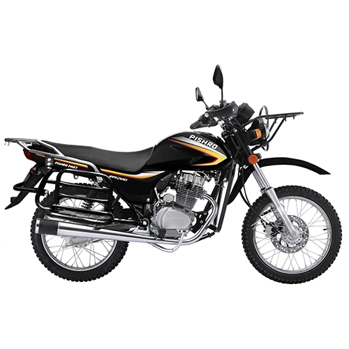 موتور سیکلت همتاز مدل SH200-1002