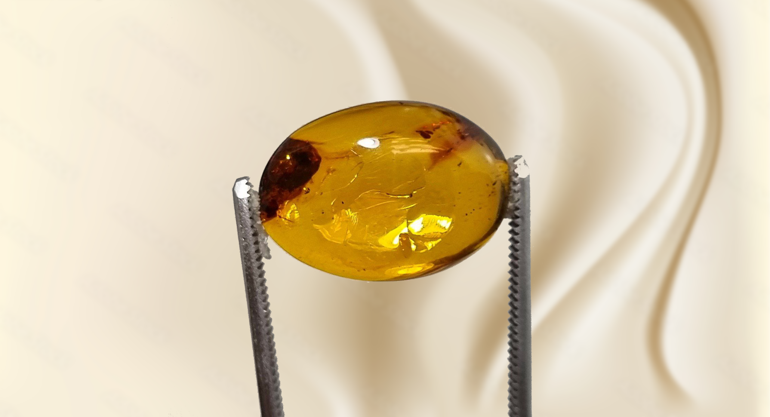 کهربا؛ گوهری از دل تاریخ و اسطورهها