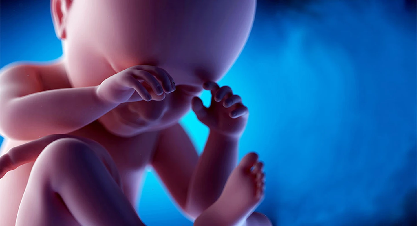 آیا تغذیه مادر میتواند ظاهر جنین را تحت تاثیر قرار دهد؟