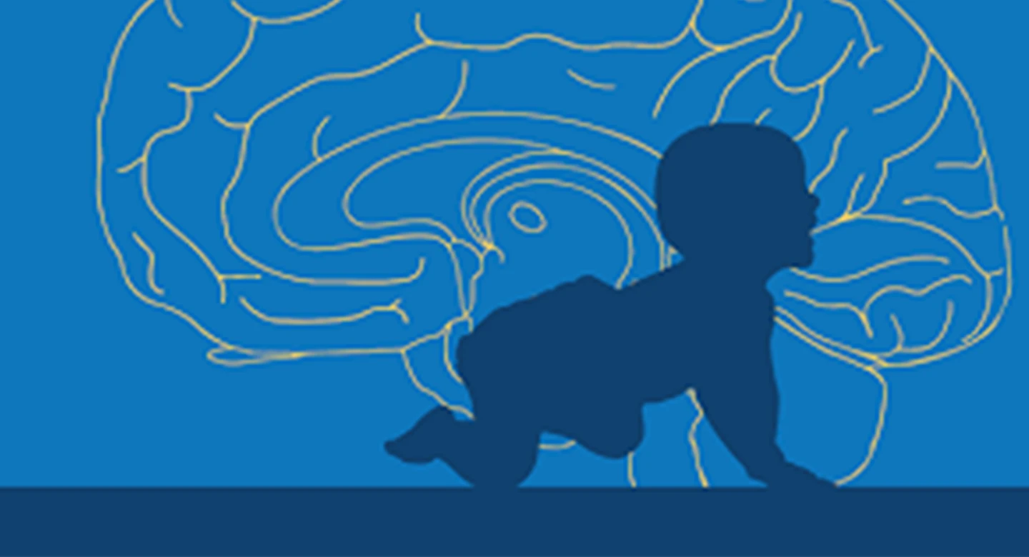 حقیقت هفتم: نوزادان سلول‌های مغزی بیشتری دارند