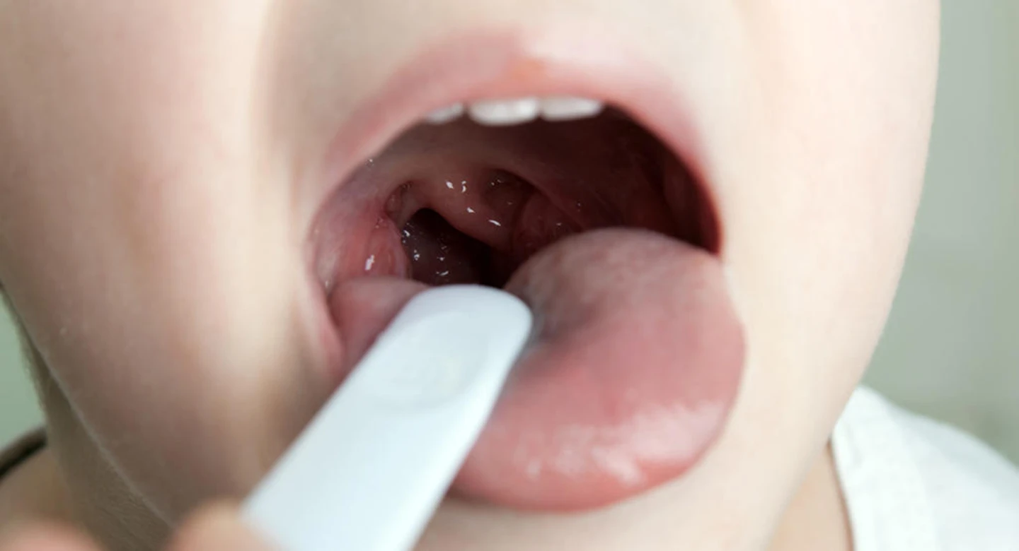 حقیقت سوم: لوزه‌های نوزادان خانه‌ای برای چشایی هستند